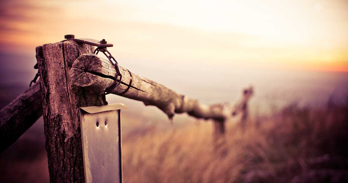 A Standard Post A Standard Post